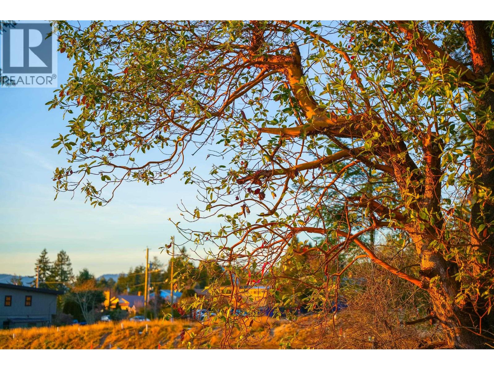 Lot 1 Salal Road Property Photo 15