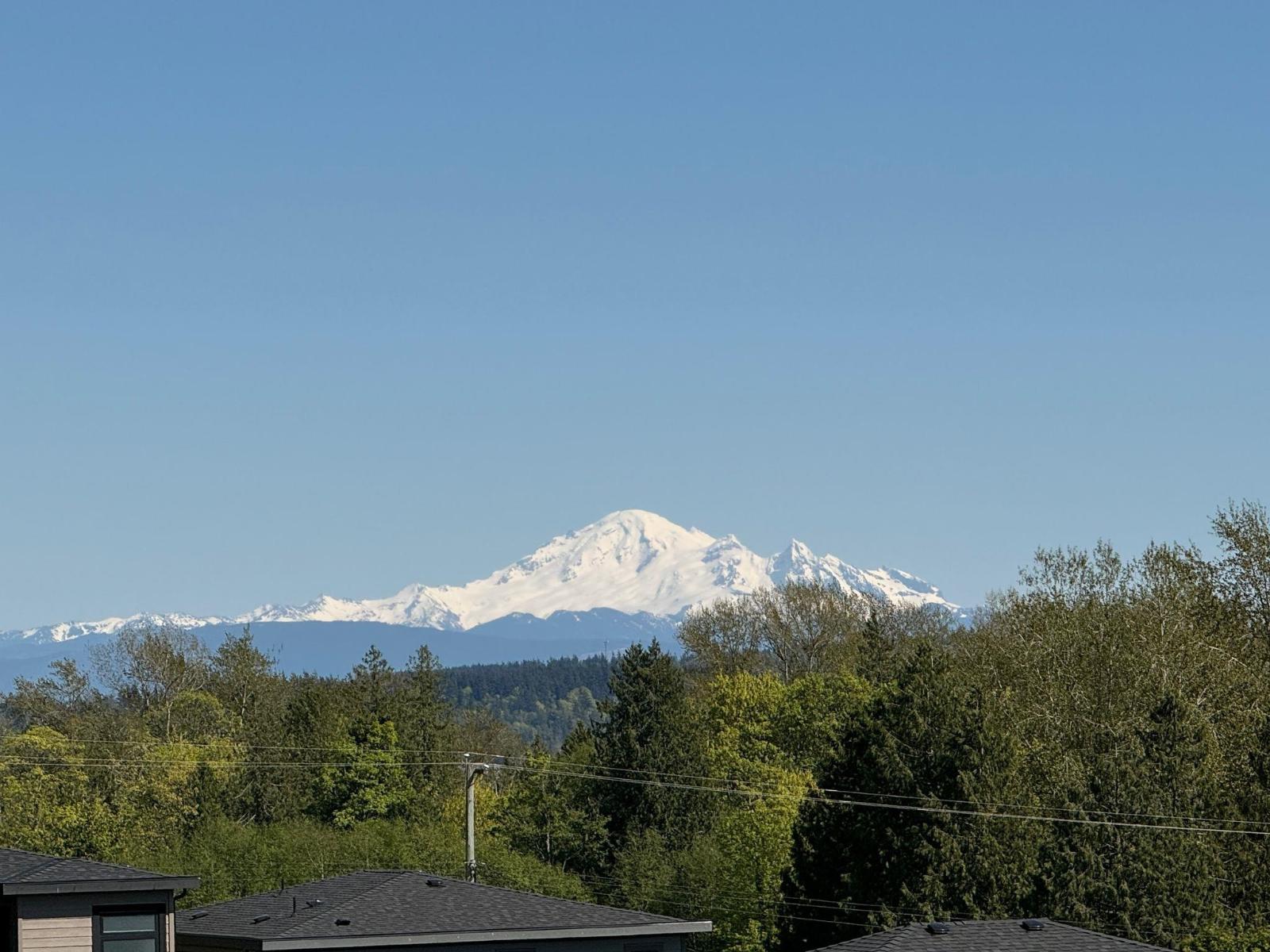 16730 16 Avenue Property Photo 2