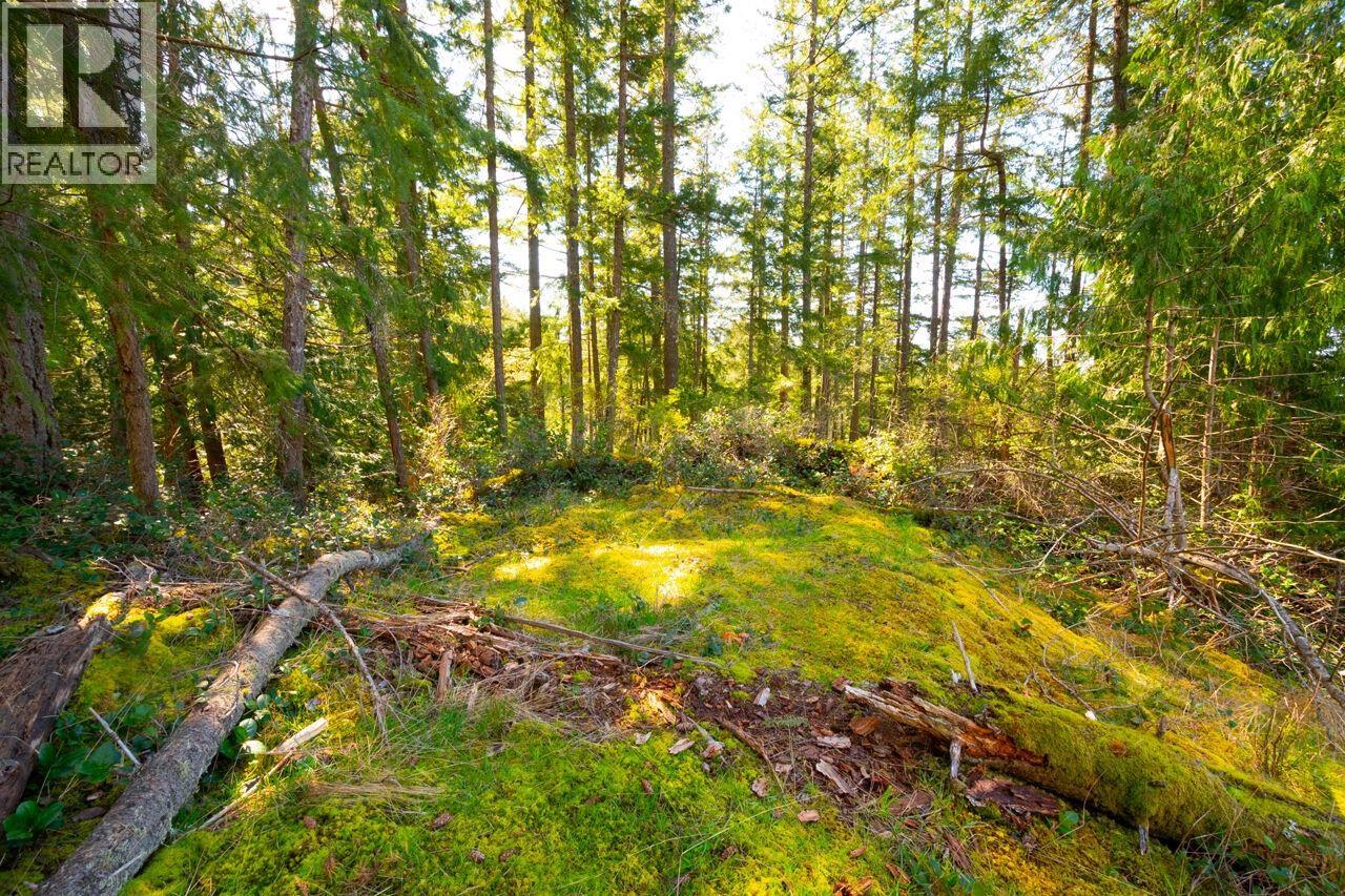 Lot 1 Innisfree Lane Property Photo 7