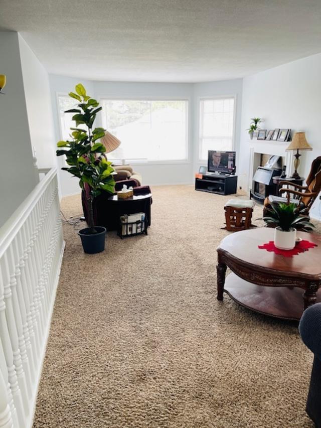 45470 Spruce Drive Property Photo 3