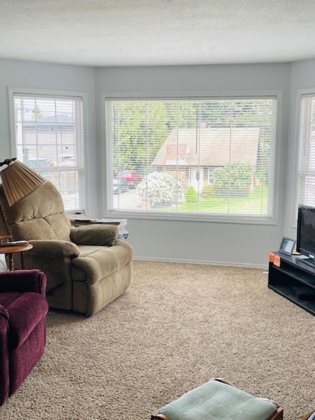 45470 Spruce Drive Property Photo 4