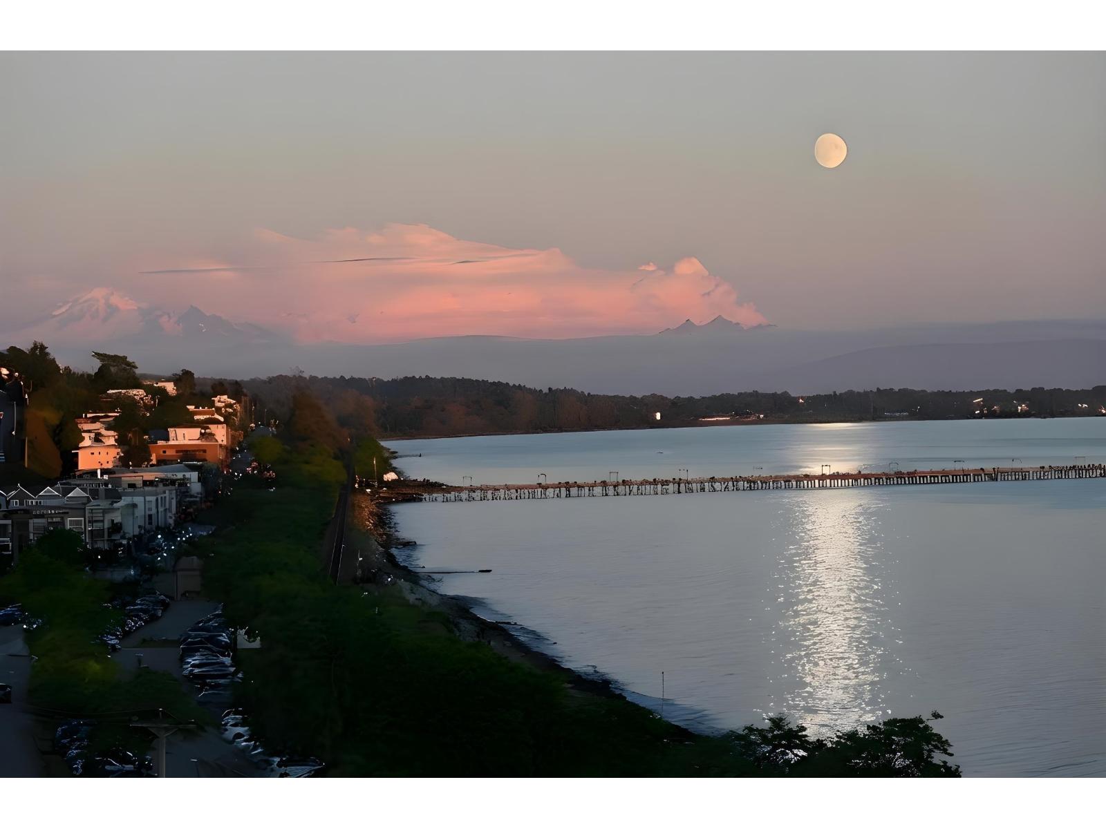 14501 Marine Drive Property Photo 1