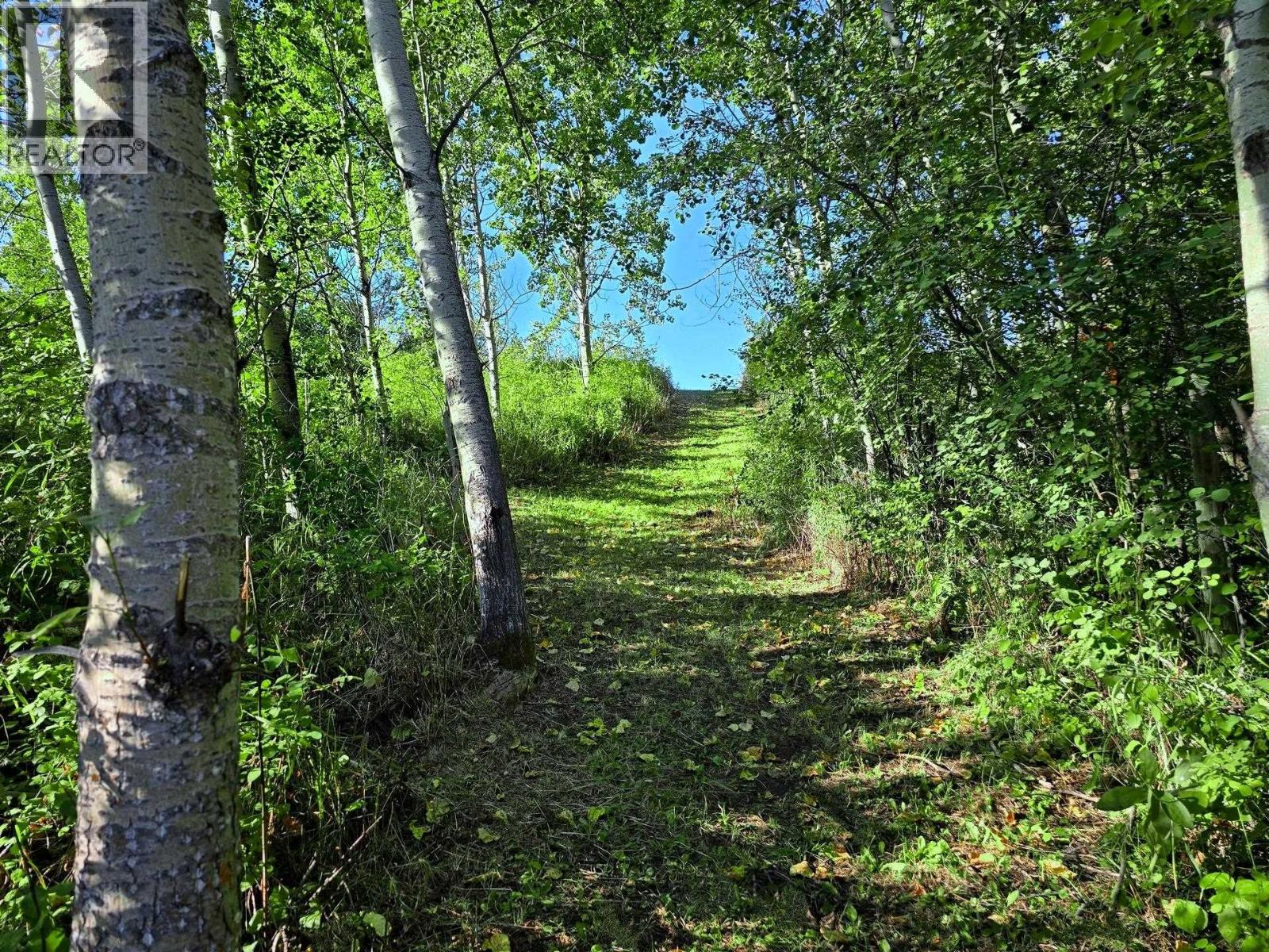 4256 Spur Road Property Photo 9