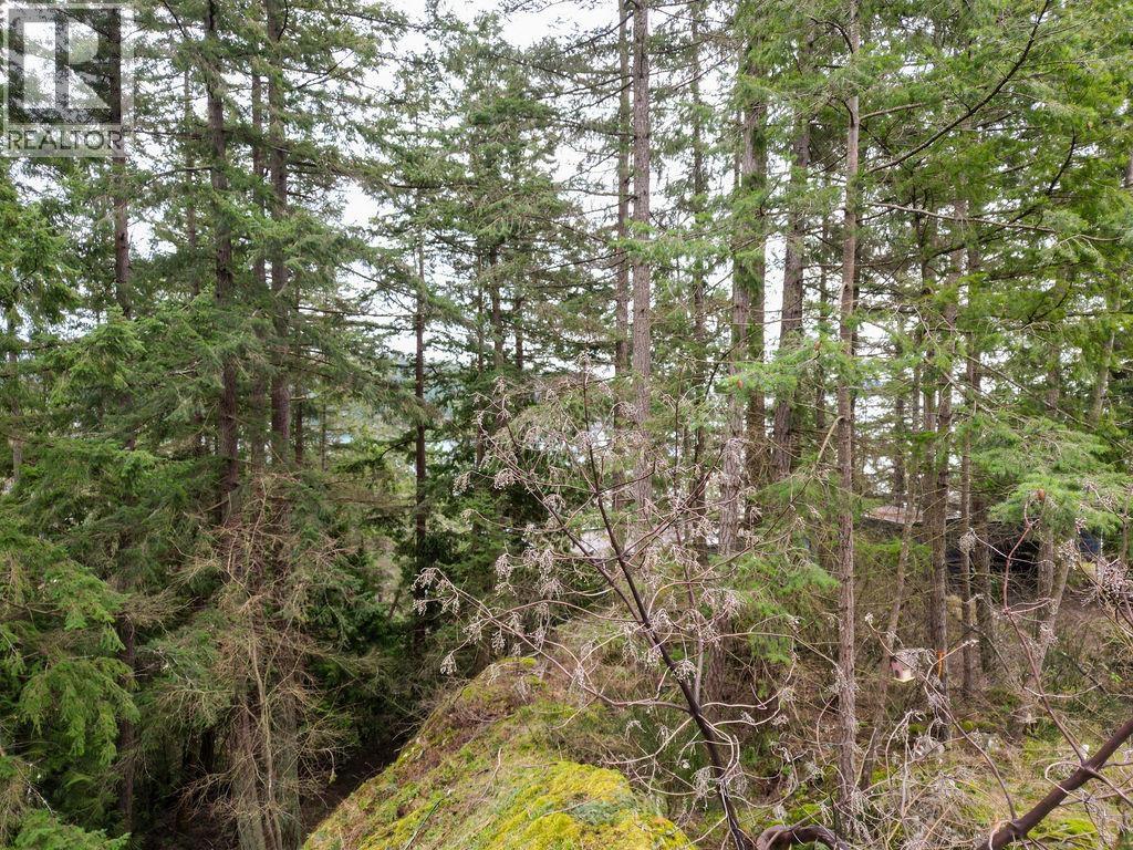 Lot A Skyline Drive Property Photo 5