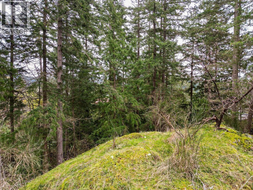 Lot A Skyline Drive Property Photo 7
