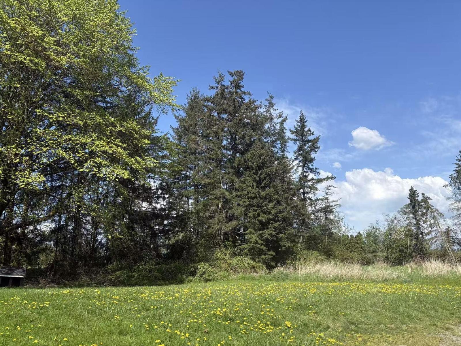 18106 32 Avenue Property Photo 17