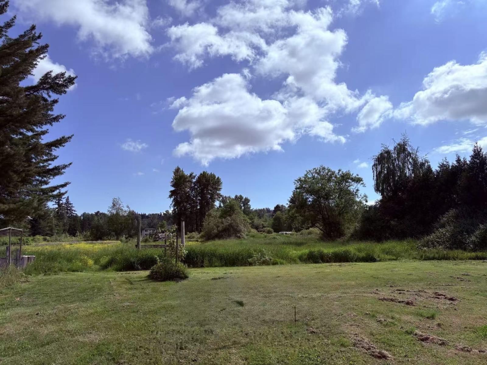 18106 32 Avenue Property Photo 20