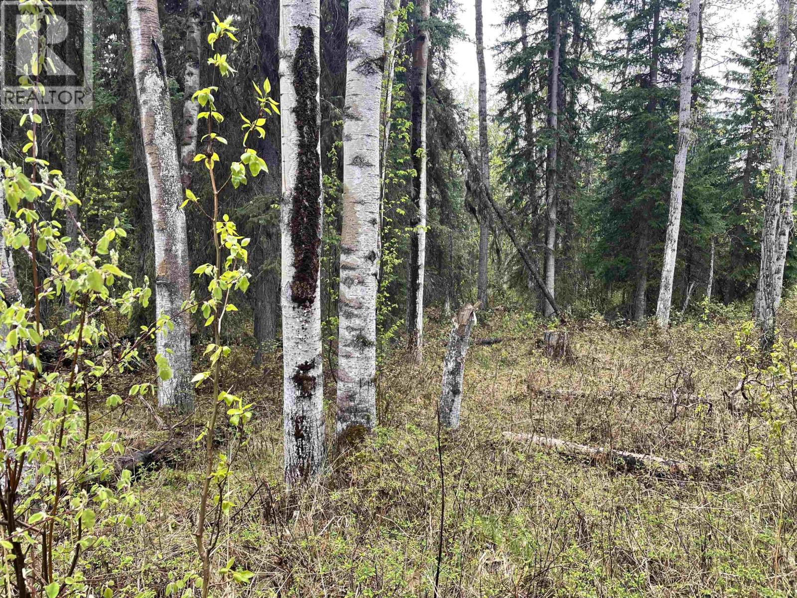 Lot 1 Little Fort 24 Highway Property Photo 2