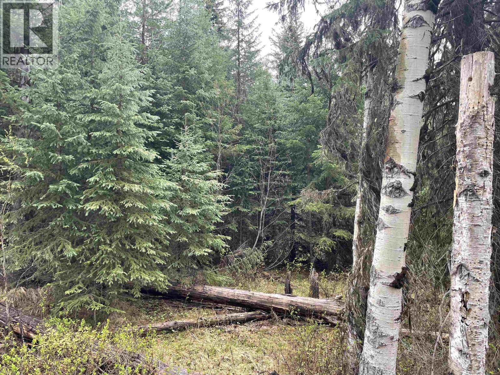 Lot 1 Little Fort 24 Highway Property Photo 9