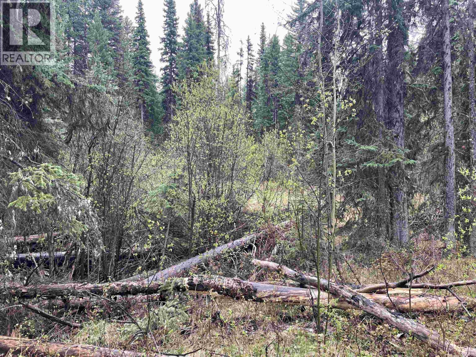 Lot 1 Little Fort 24 Highway Property Photo 12