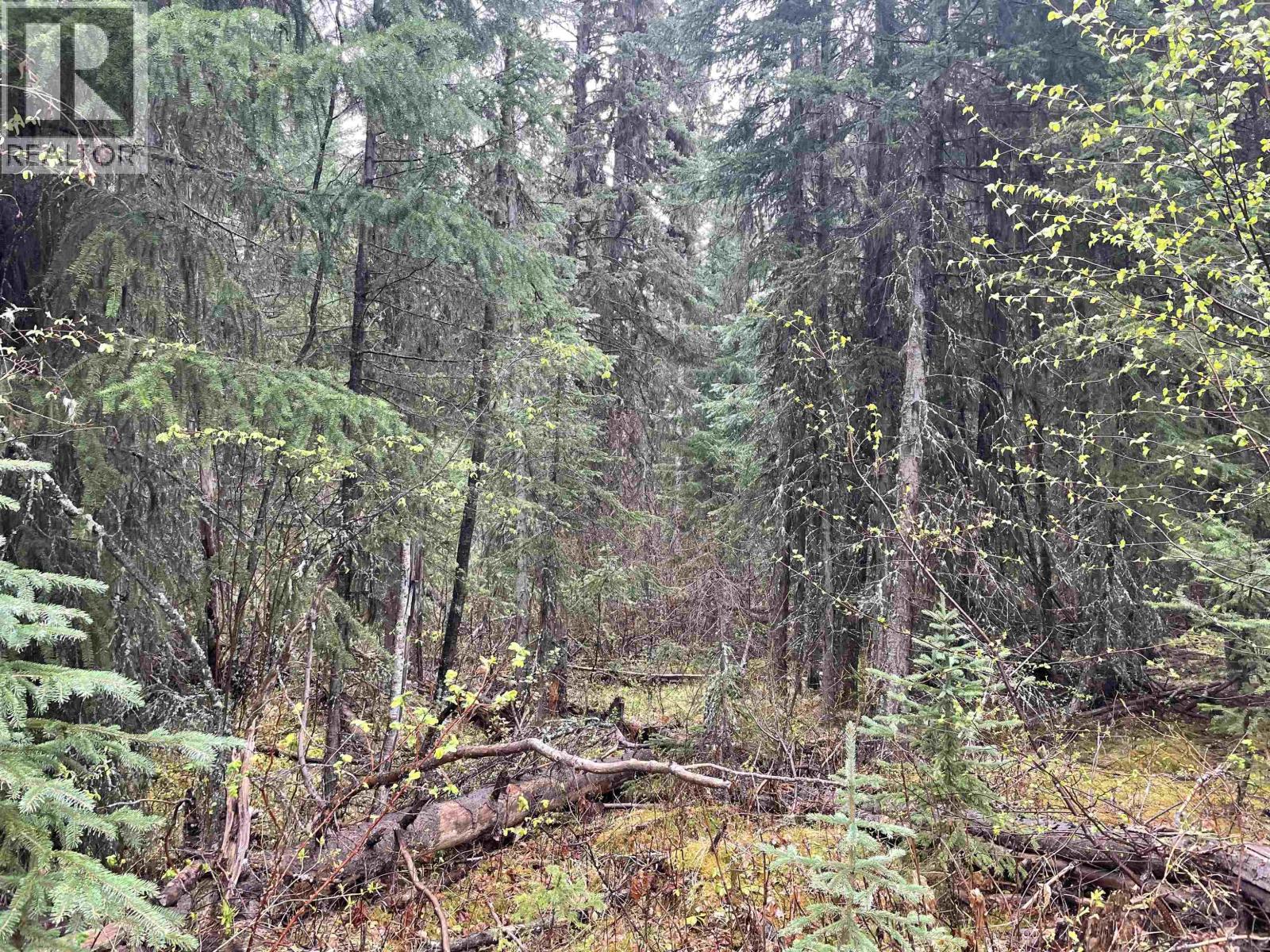 Lot 1 Little Fort 24 Highway Property Photo 15