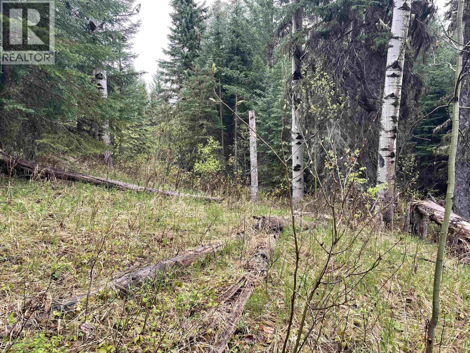 Lot 1 Little Fort 24 Highway Property Photo 23