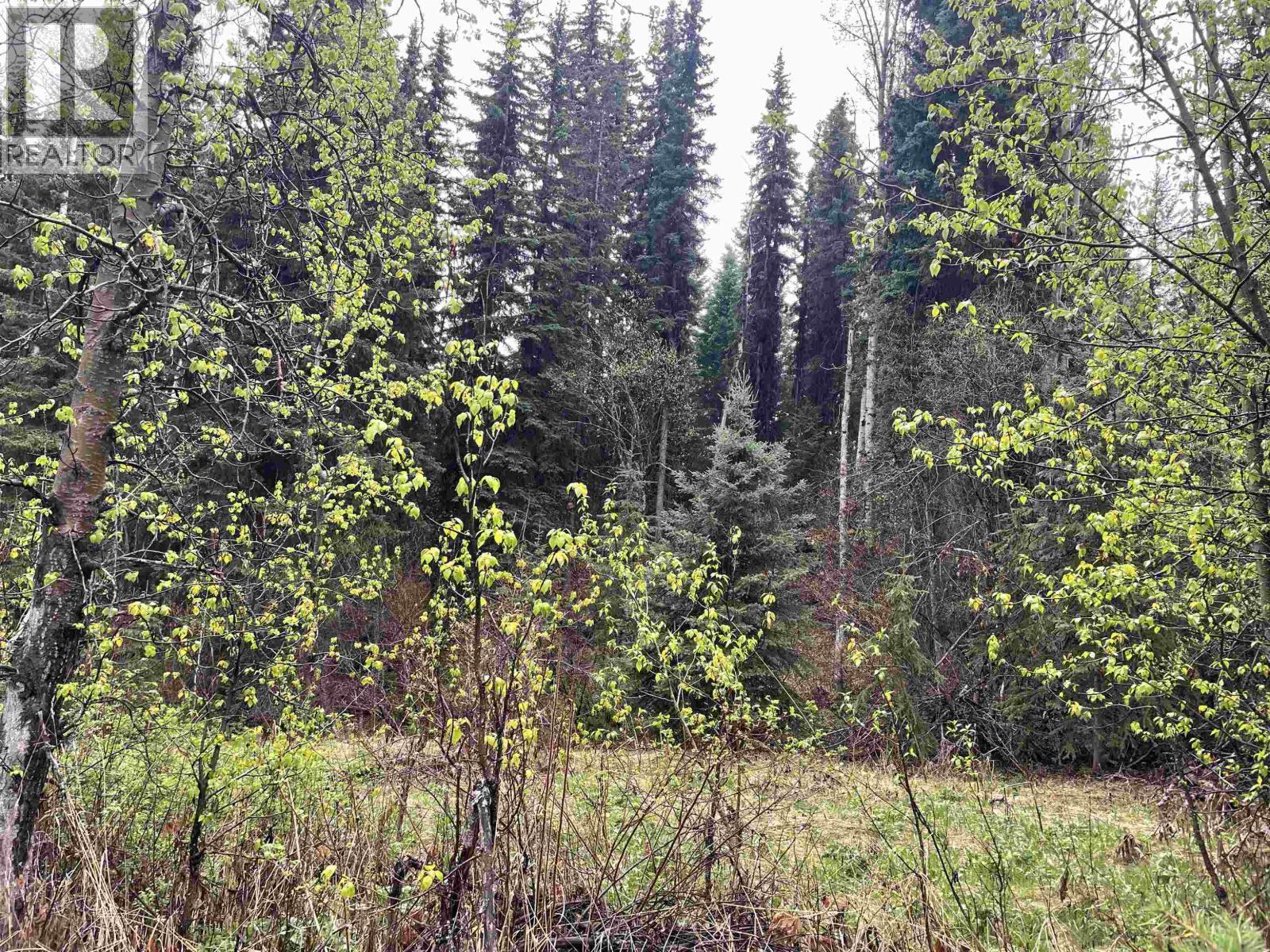 Lot 1 Little Fort 24 Highway Property Photo 26