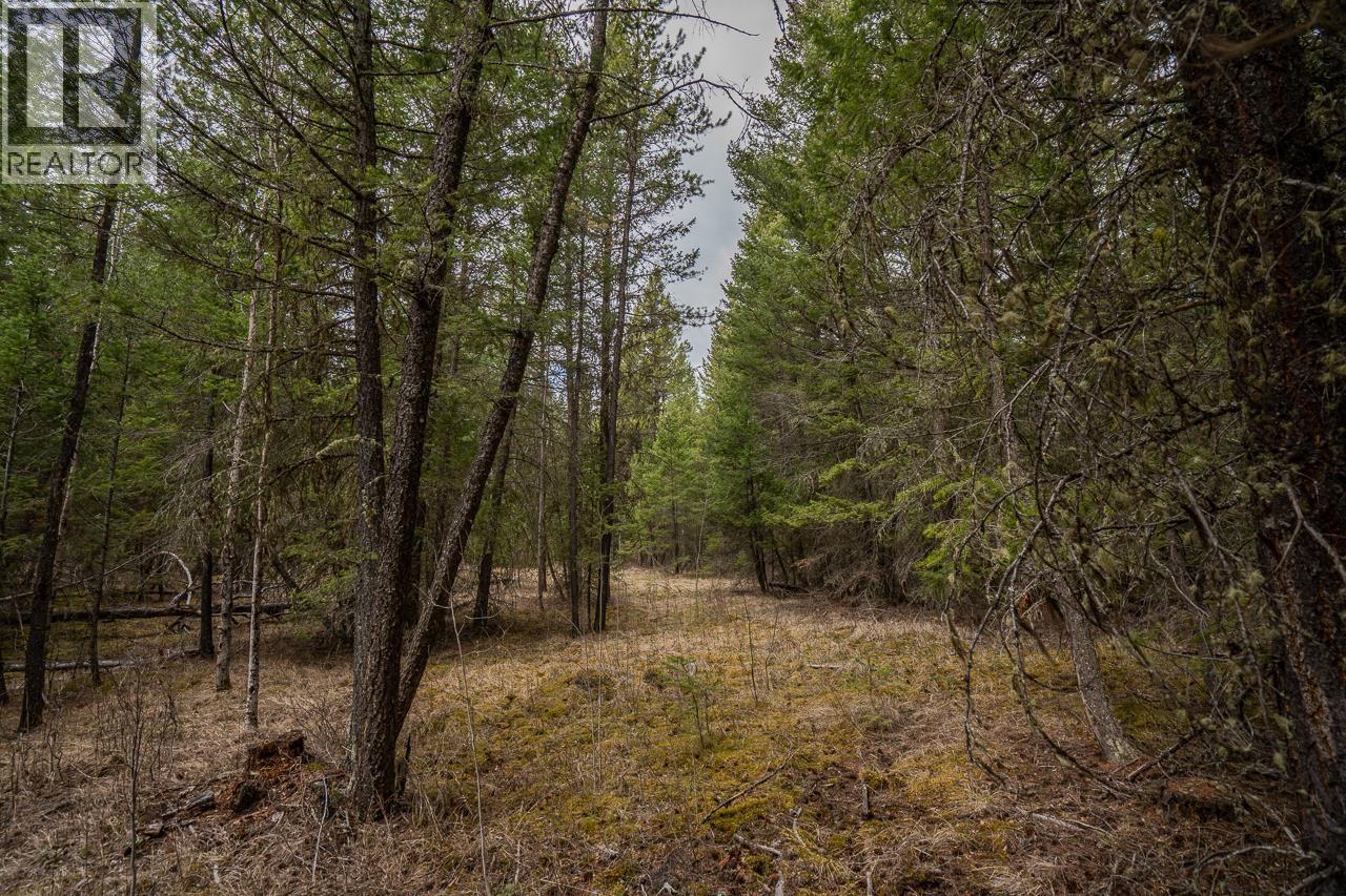 Lot 6 Park Place Property Photo 3