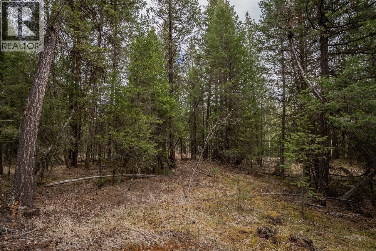 Lot 6 Park Place Property Photo 13