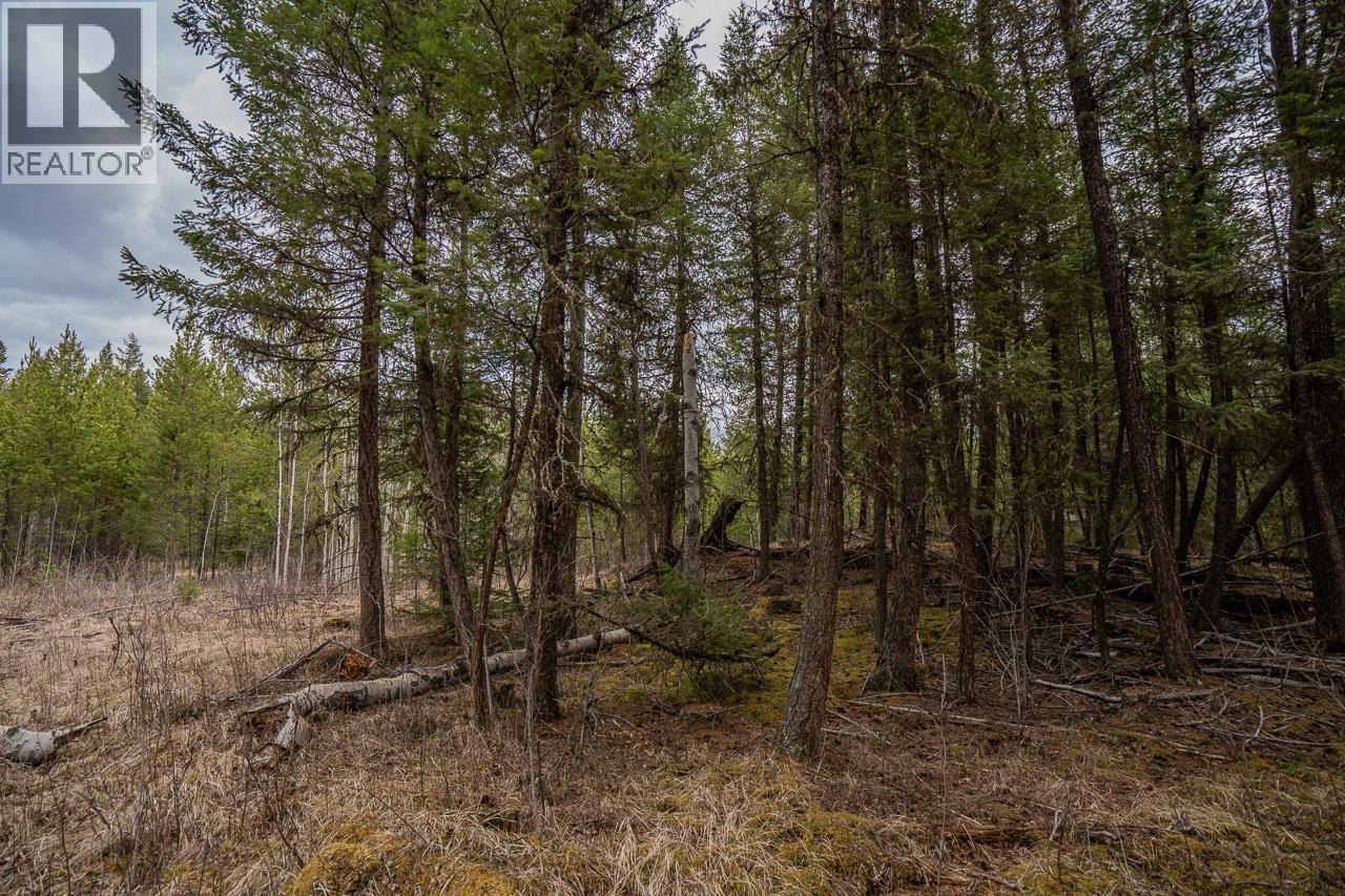 Lot 6 Park Place Property Photo 19
