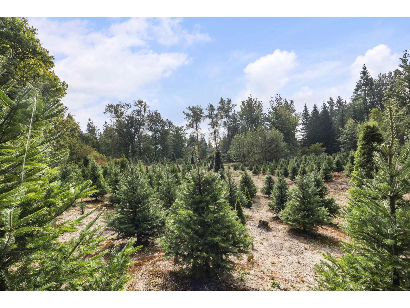 22441 79 Avenue Property Photo 12