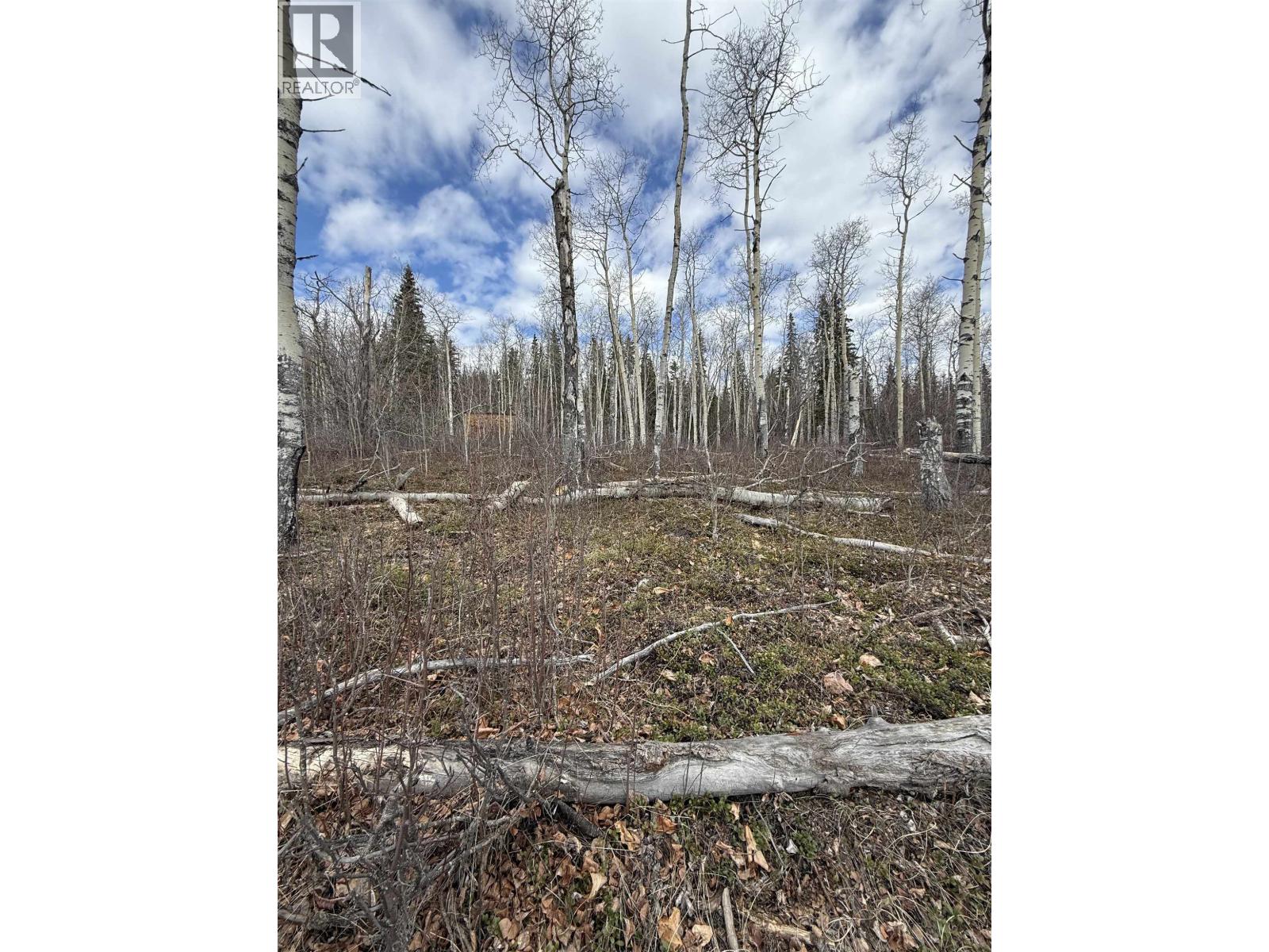 14035 Colleymount Road Property Photo 3