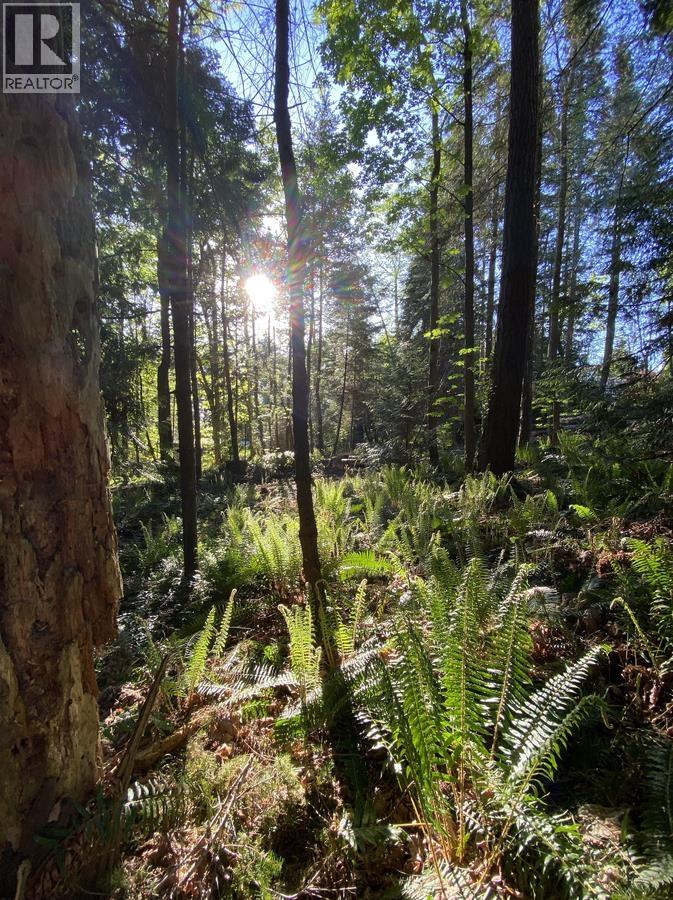 Lot B 1533 Grandview Road Property Photo 11