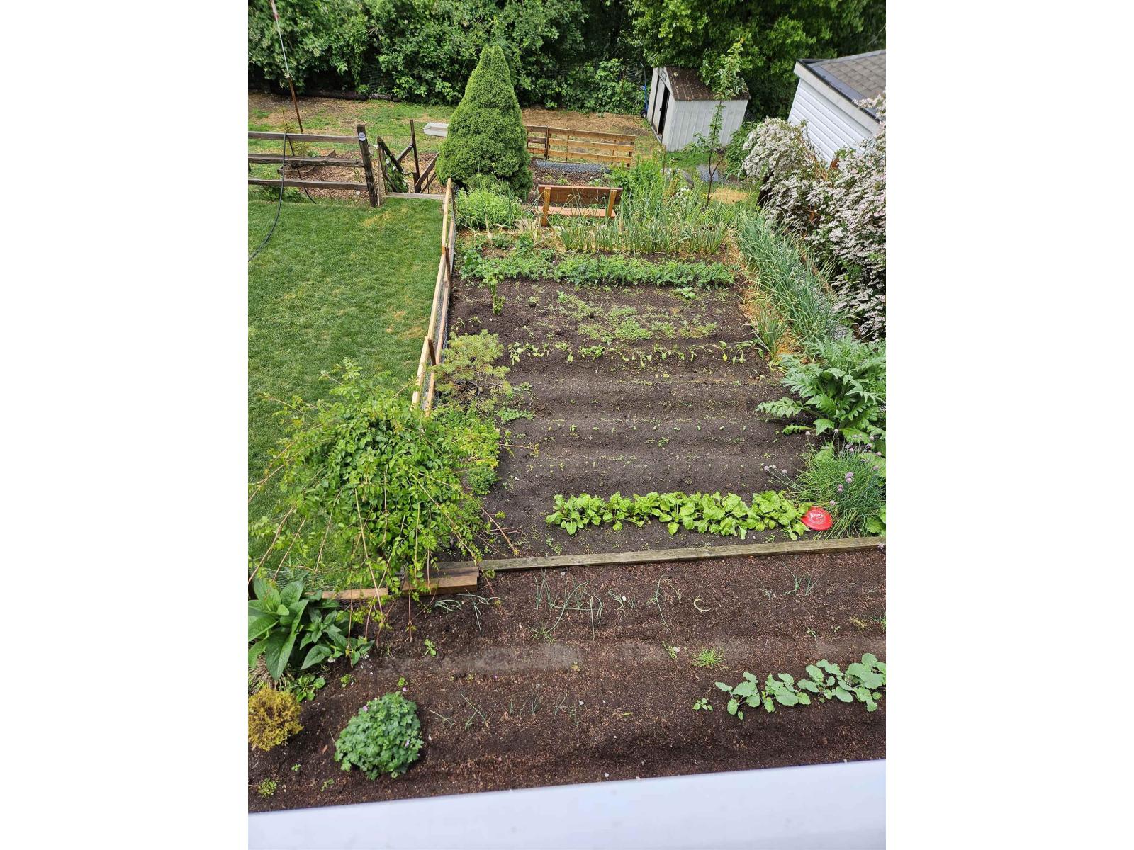 10223 124 Street Property Photo 10