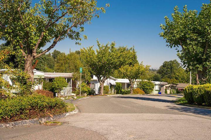 115 8220 King George Highway Property Photo 19