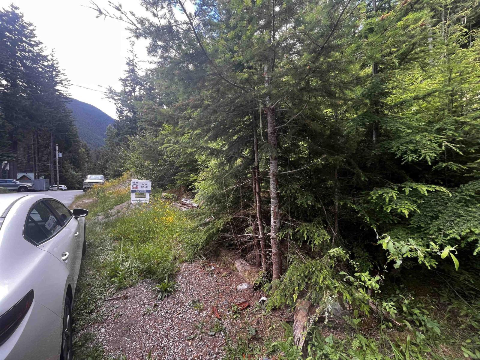 14953 Parkwood Street Property Photo 8