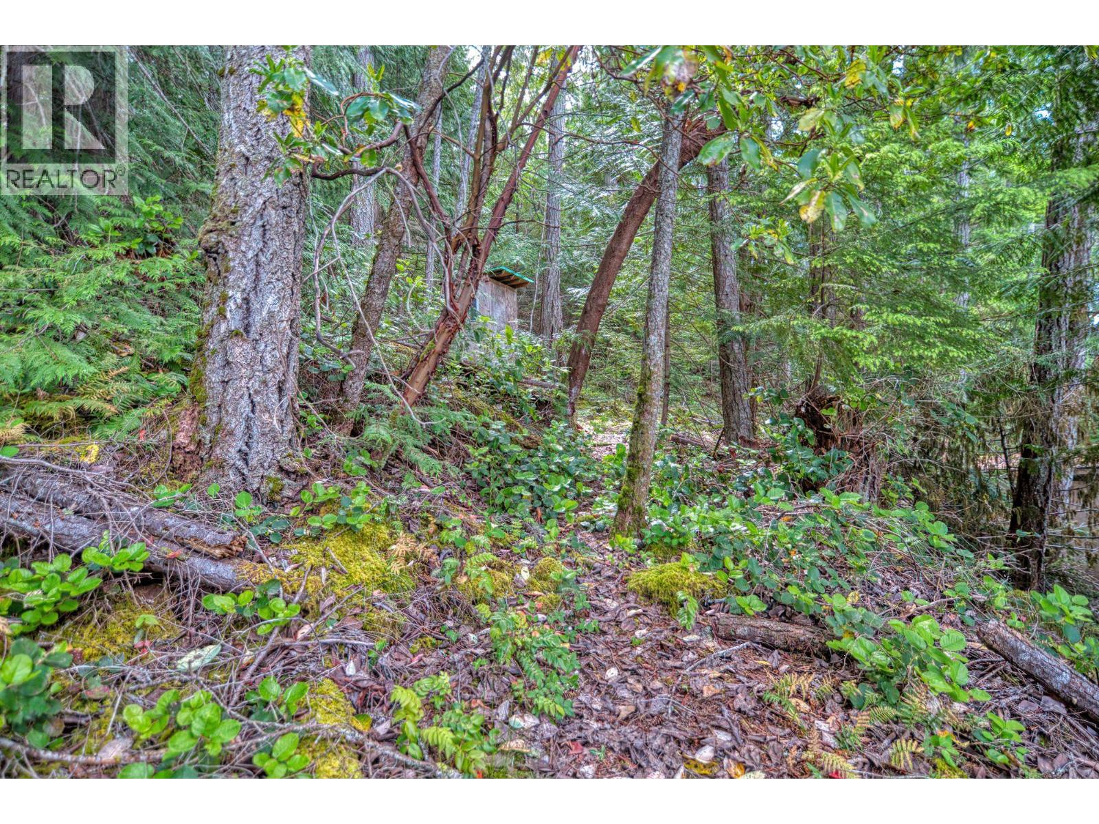 6761 Sandy Hook Trail Property Photo 29