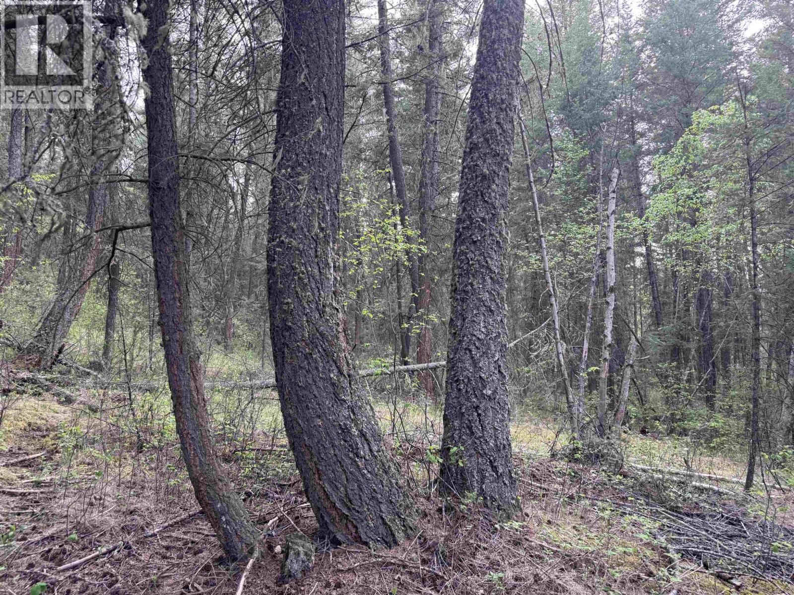 550 Dog Creek Road Property Photo 1