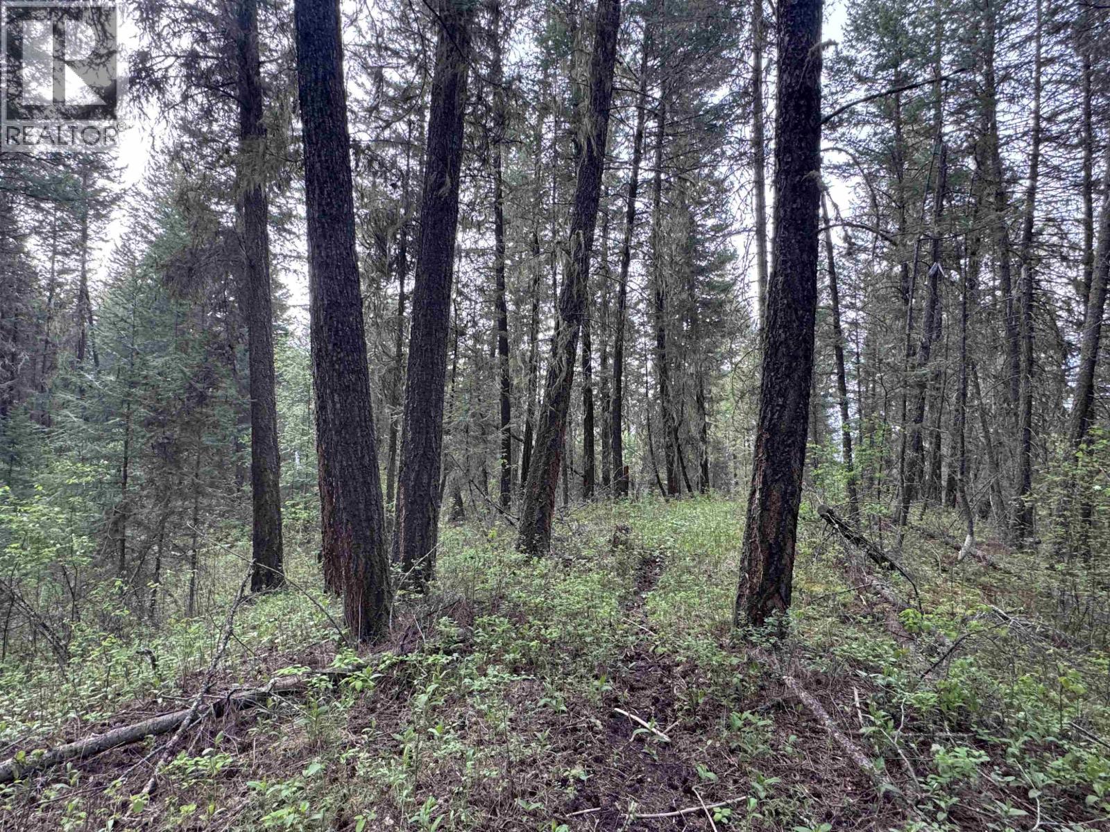 550 Dog Creek Road Property Photo 4