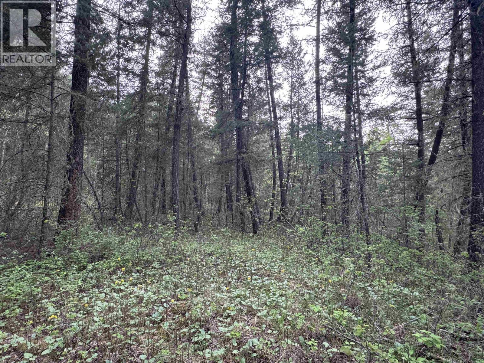 550 Dog Creek Road Property Photo 7