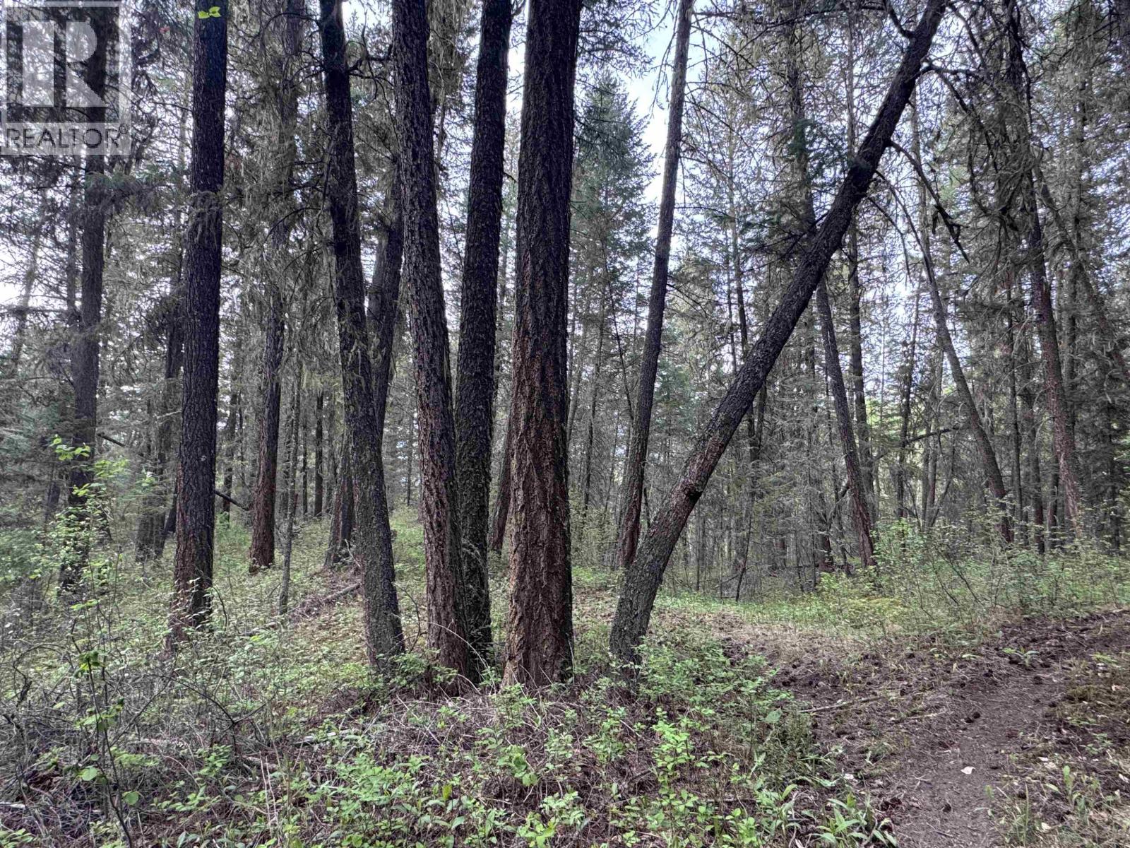 550 Dog Creek Road Property Photo 8