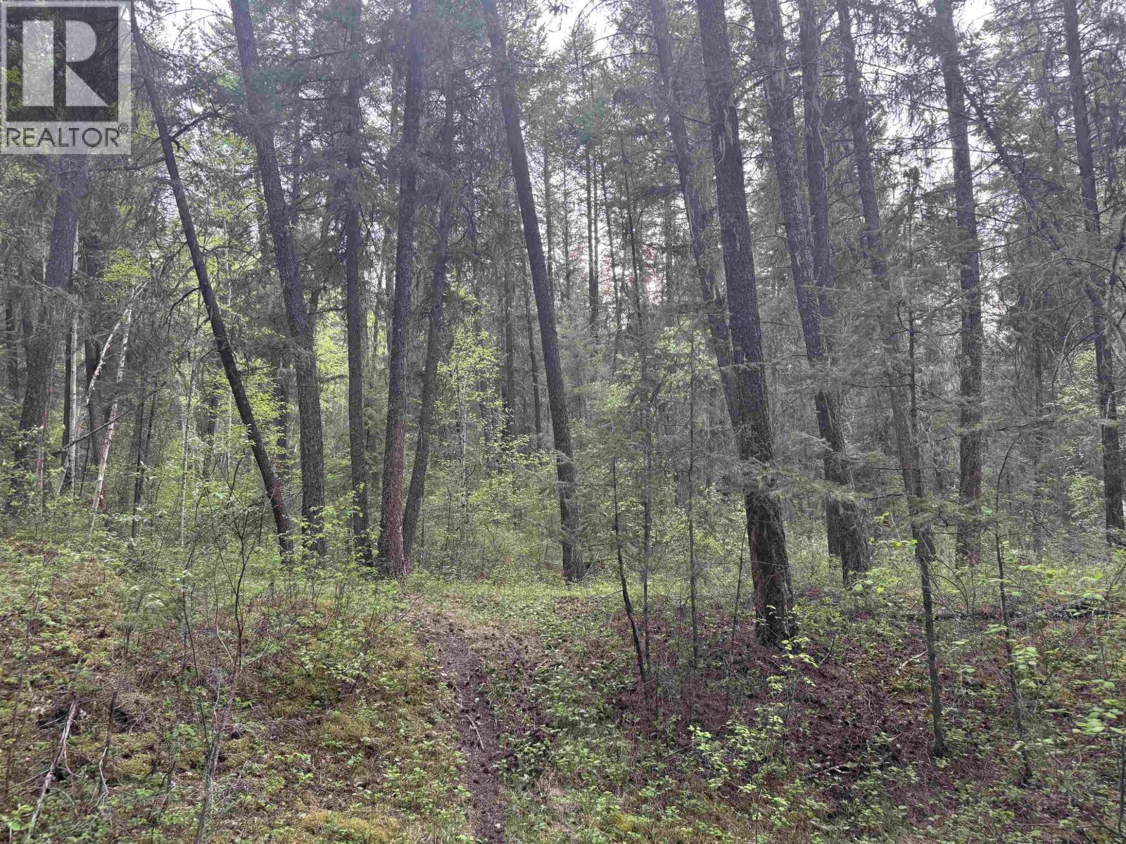 550 Dog Creek Road Property Photo 10
