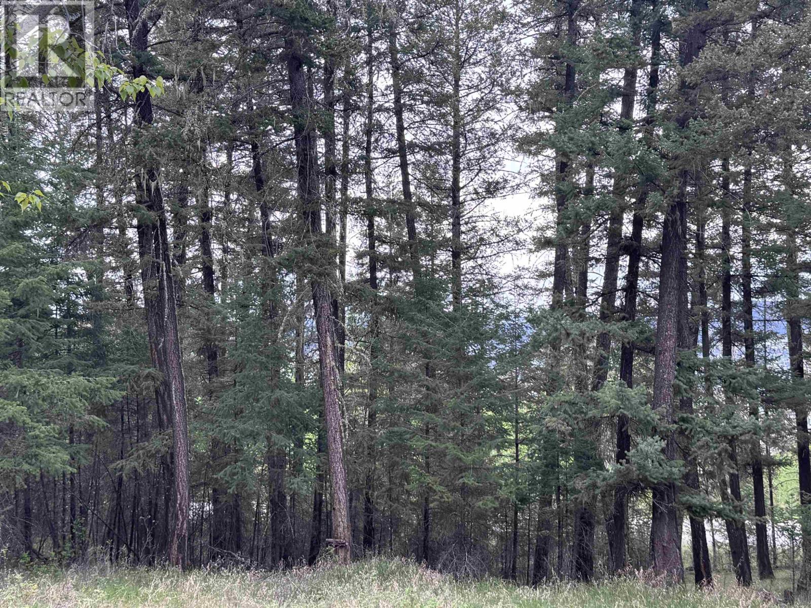 550 Dog Creek Road Property Photo 11