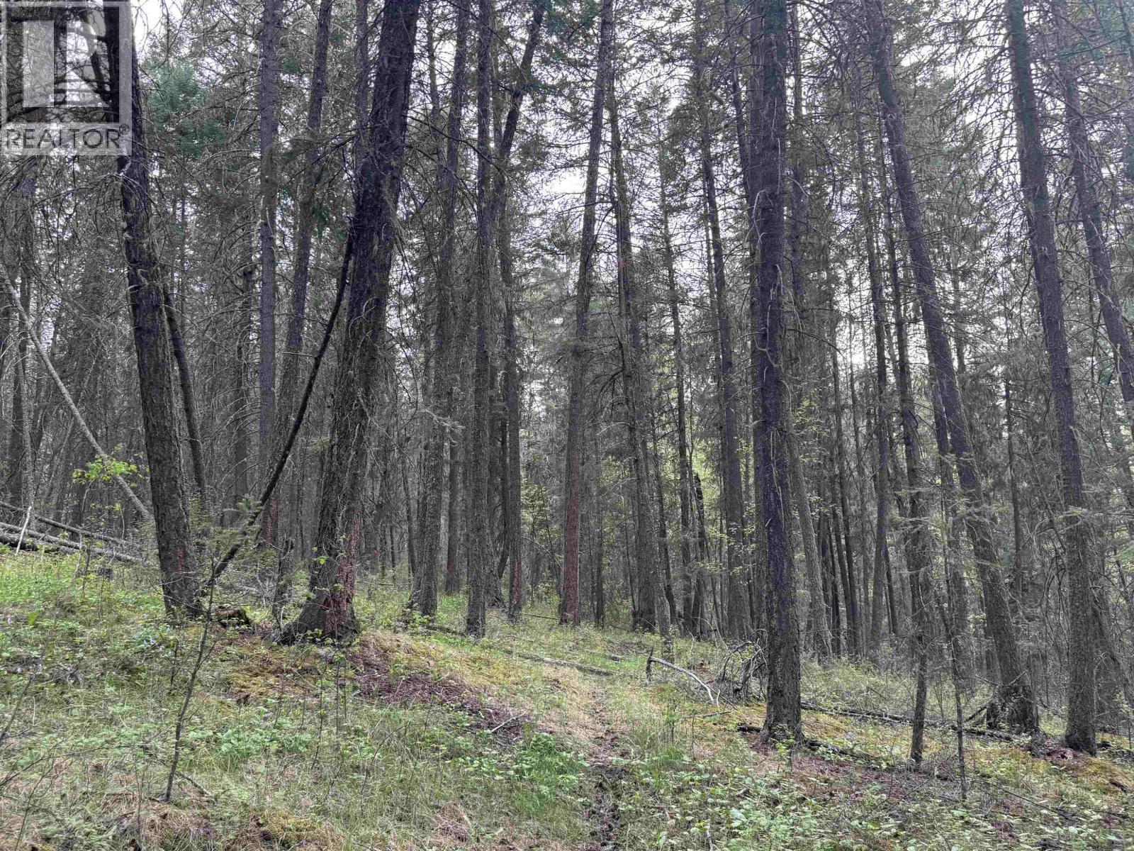 550 Dog Creek Road Property Photo 12