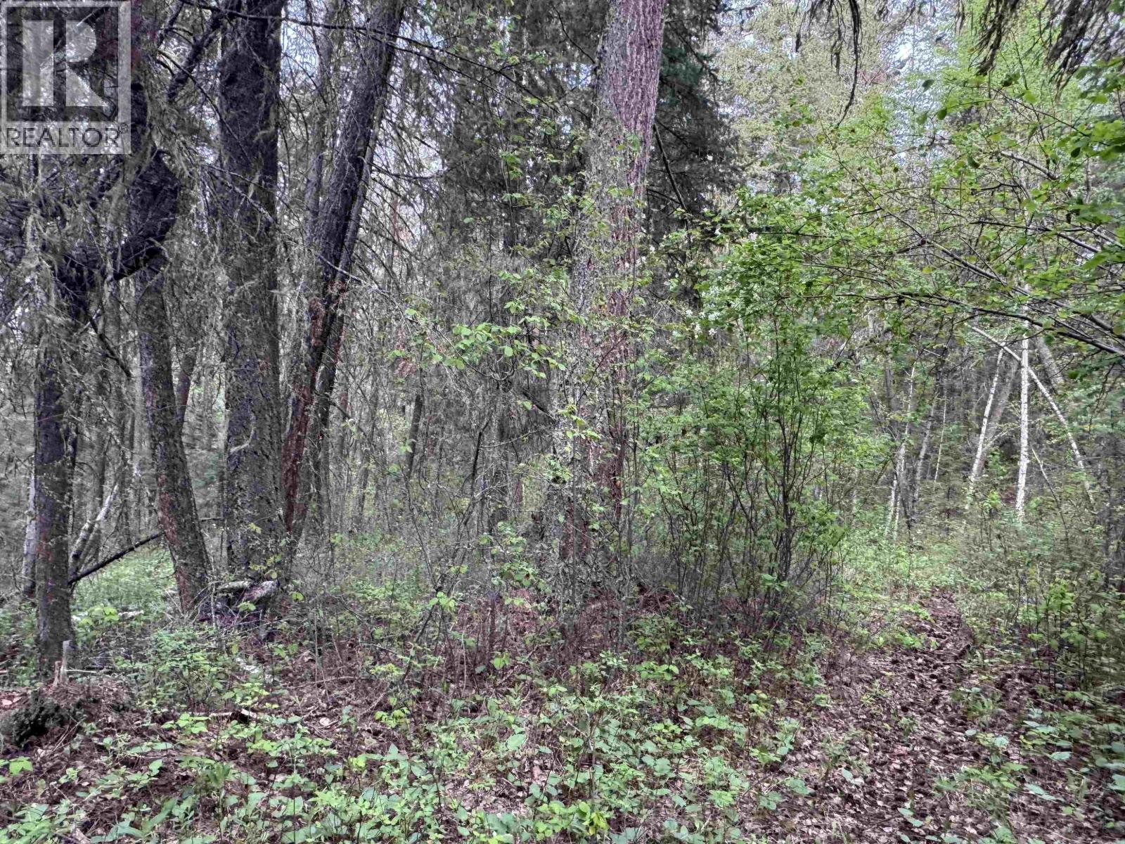 550 Dog Creek Road Property Photo 13