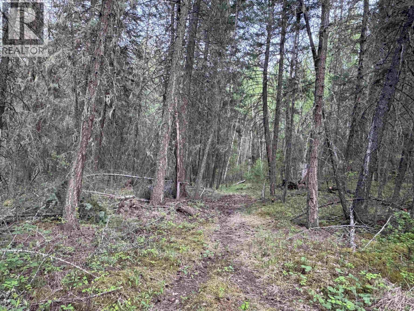 550 Dog Creek Road Property Photo 14