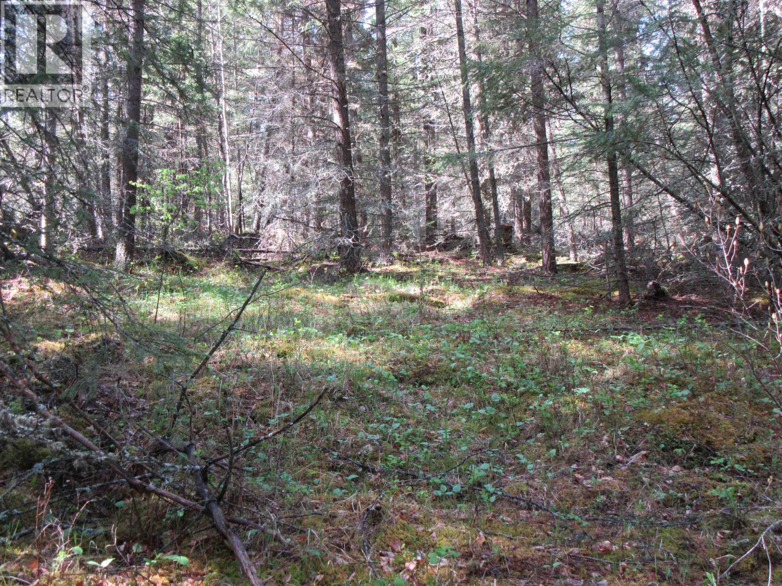 7681 Burgess Road Property Photo 10
