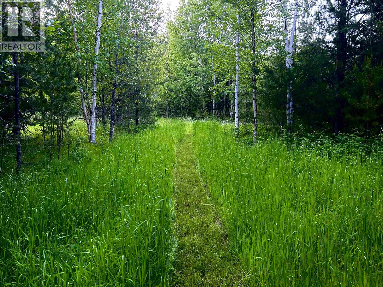 Dl 847 Lot-a & 3 Cedarvale-kitwanga Road Property Photo 10