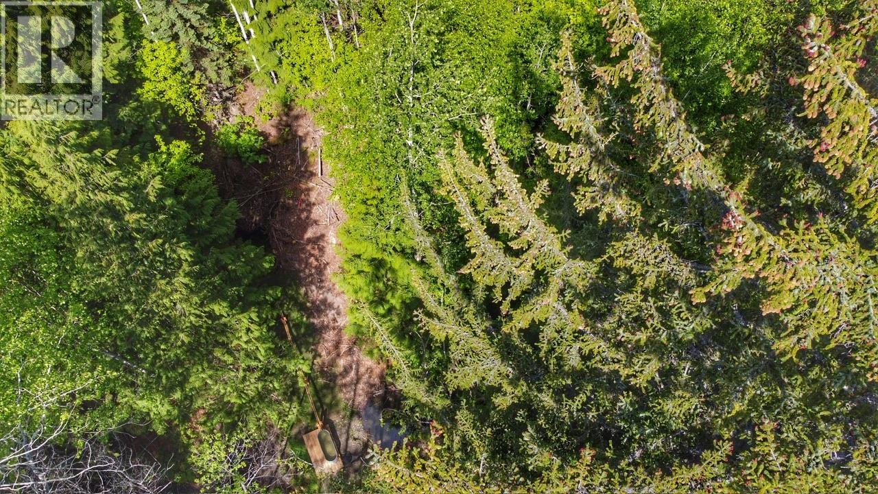 Dl 847 Lot-a & 3 Cedarvale-kitwanga Road Property Photo 14