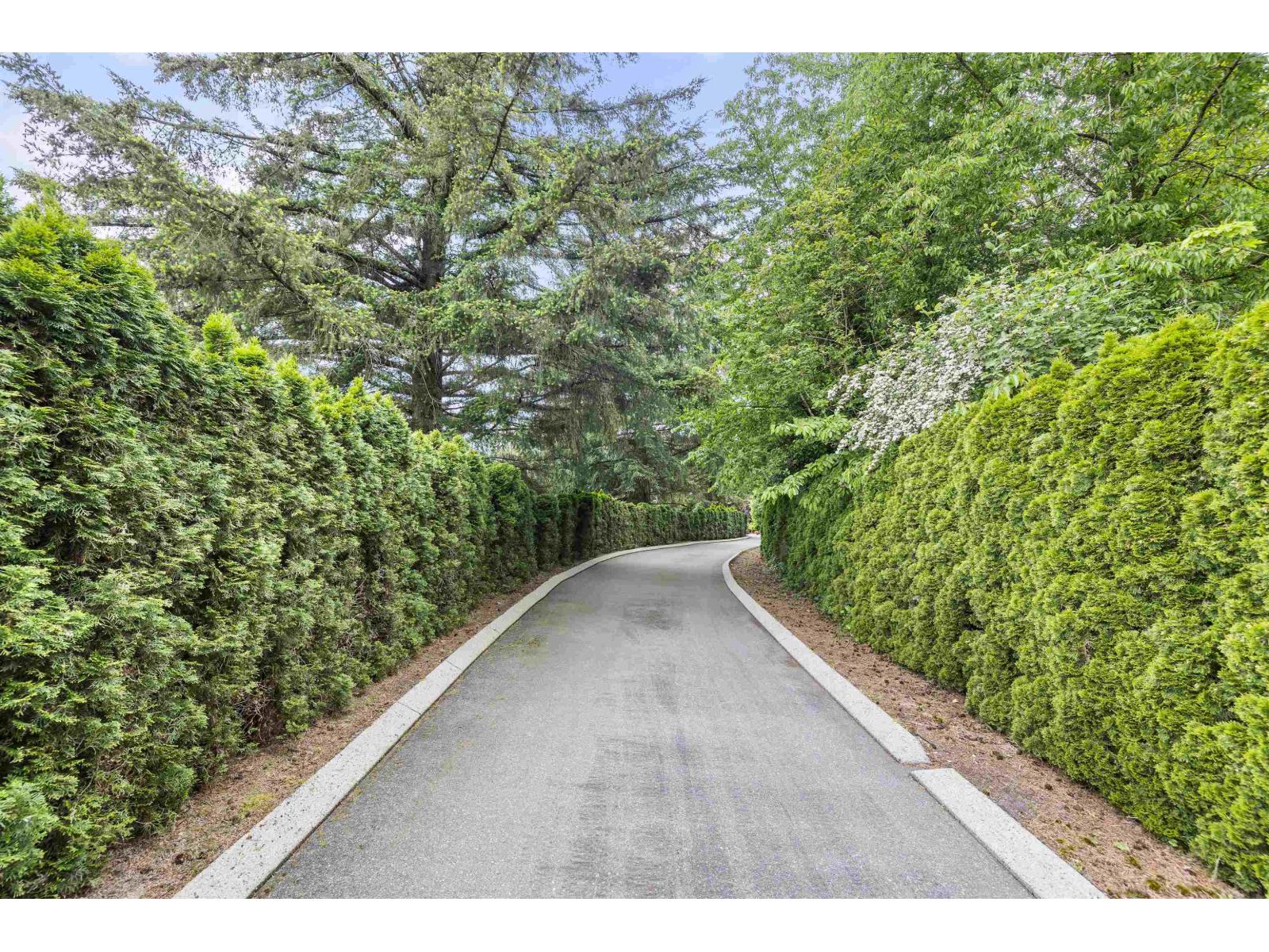 3339 236 Street Property Photo 4