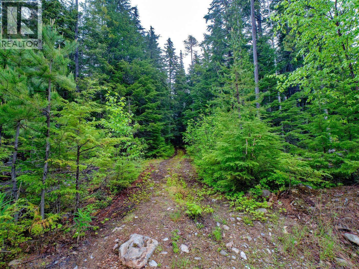 Dl 4772 Skeena River Property Photo 21