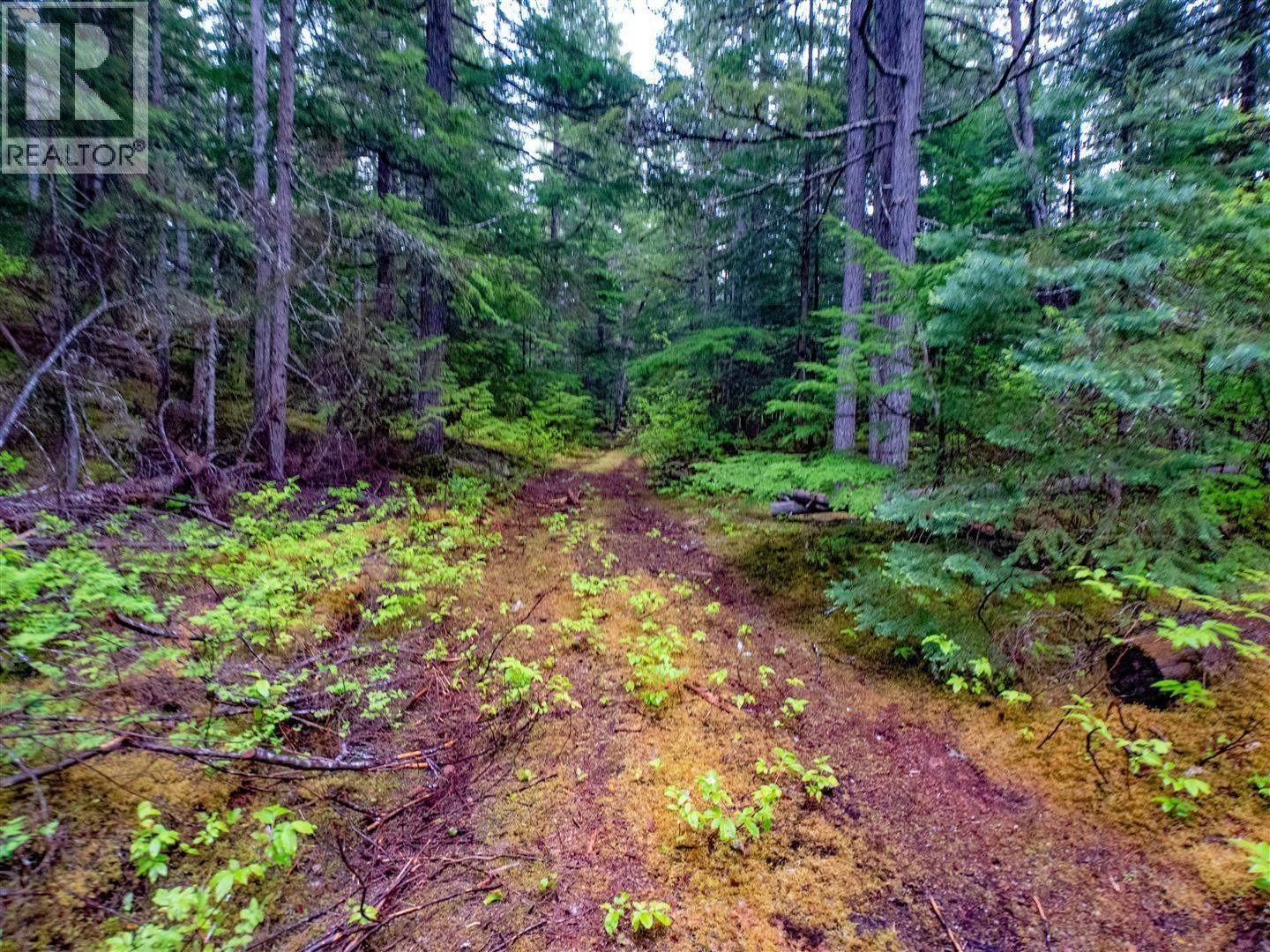 Dl 4772 Skeena River Property Photo 22
