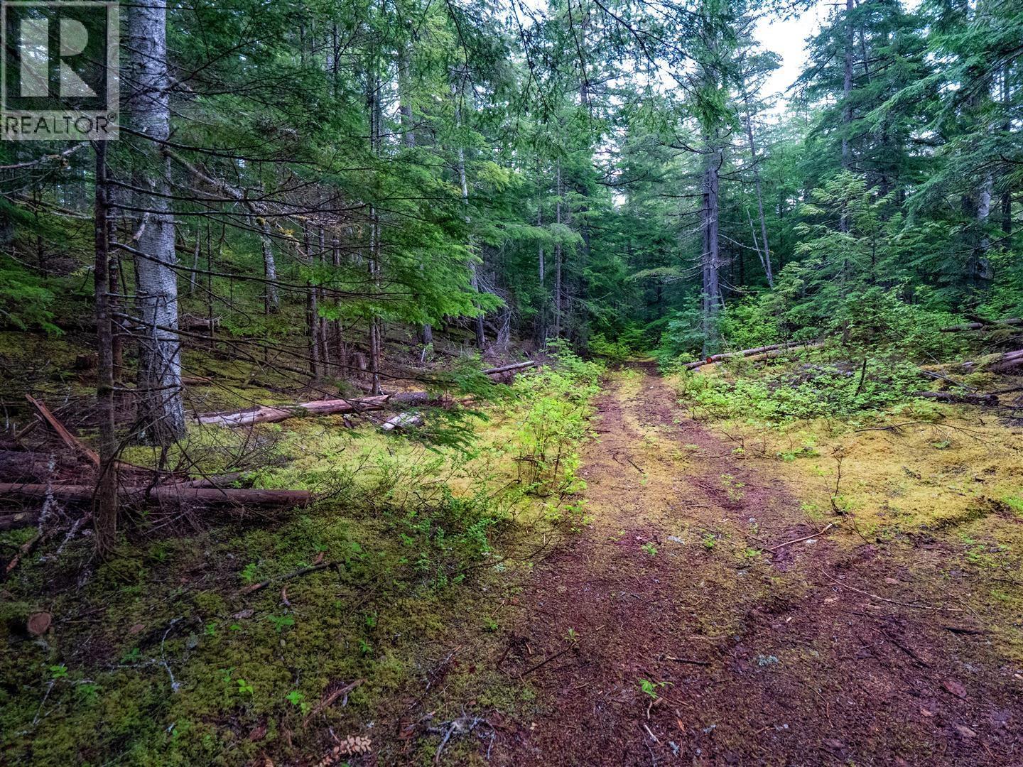 Dl 4772 Skeena River Property Photo 24