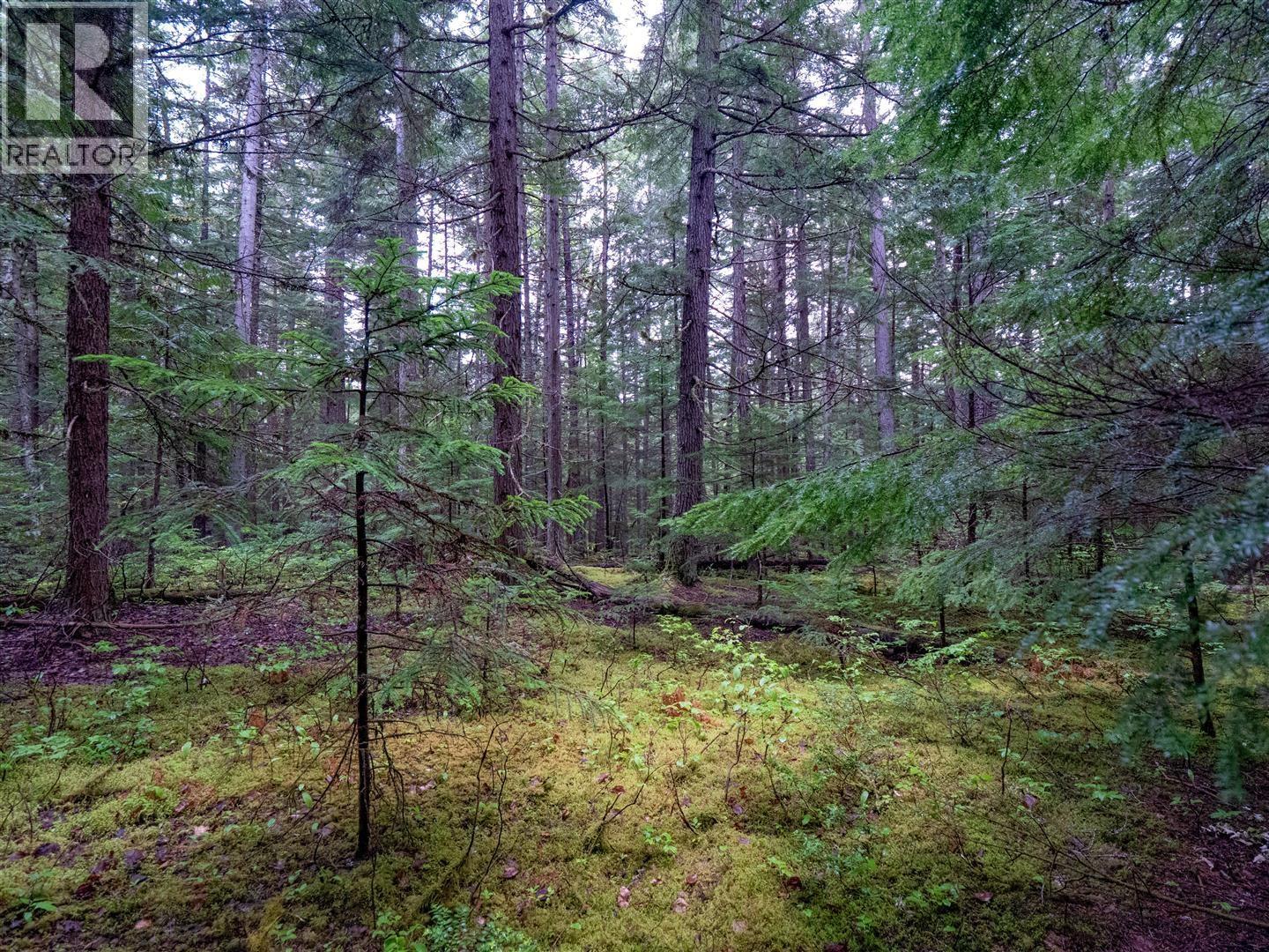 Dl 4772 Skeena River Property Photo 26