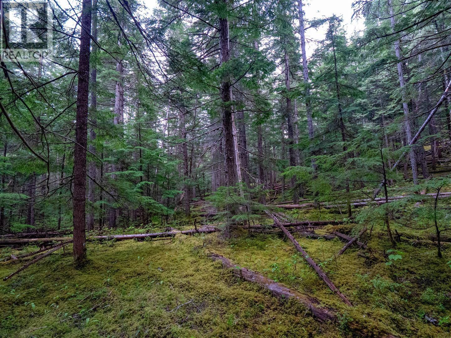 Dl 4772 Skeena River Property Photo 30
