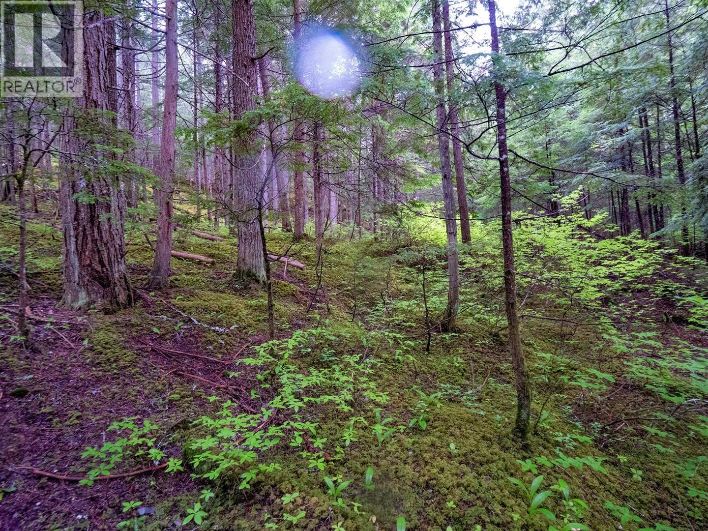 Dl 4772 Skeena River Property Photo 31