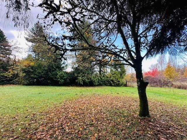 18351 74 Avenue Property Photo 5