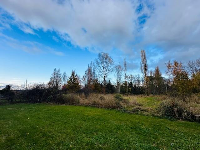 18351 74 Avenue Property Photo 12