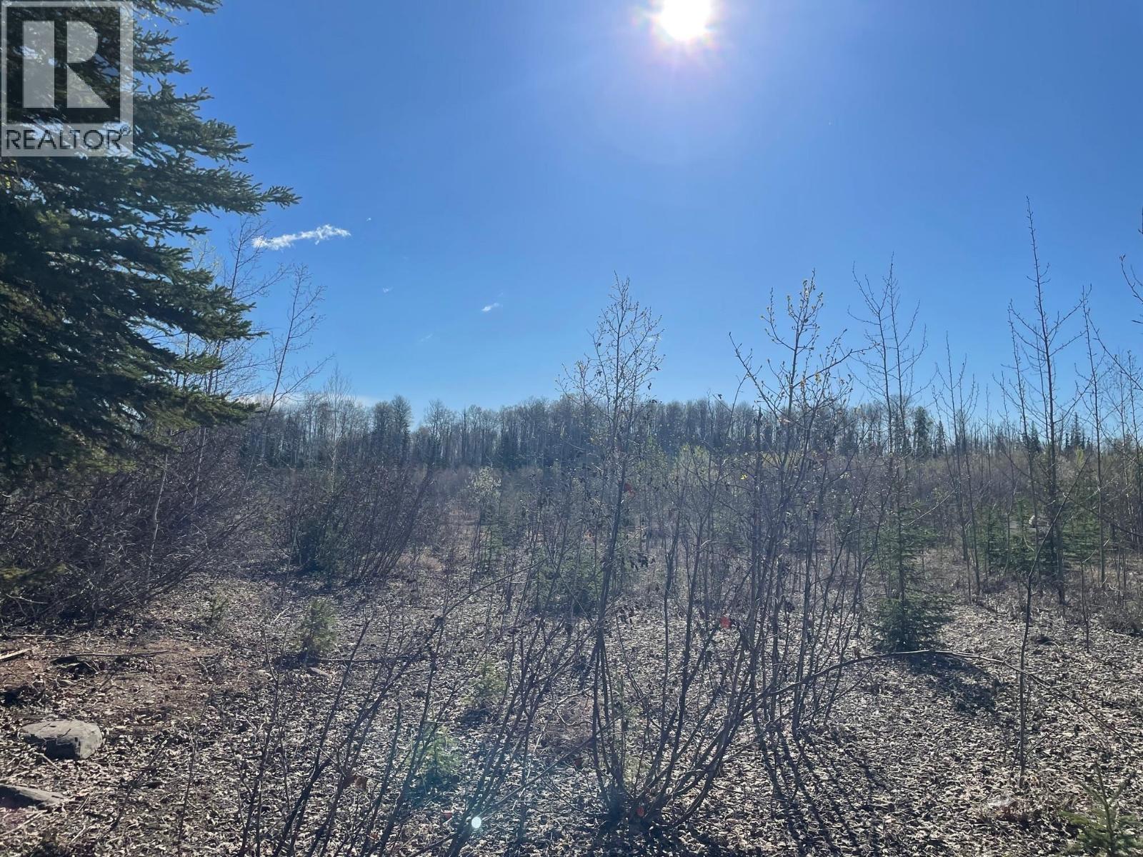 170 Mcconachie Creek Road Property Photo 3