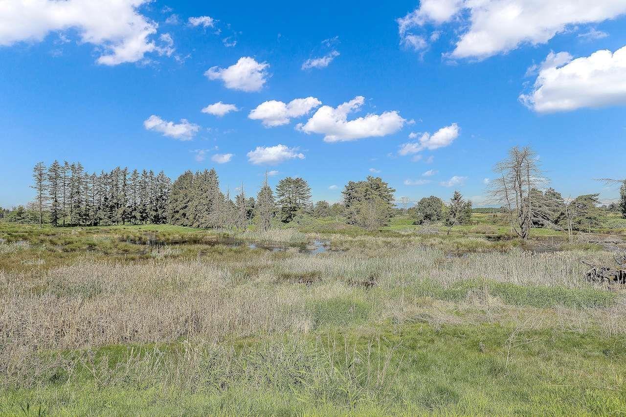 205 14550 Winter Crescent Property Photo 37
